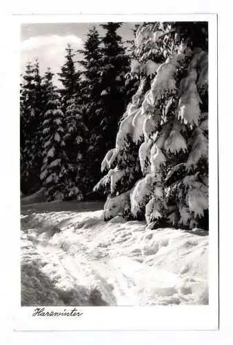 Foto Ak Harzwinter Braunlage 1956 Bäume im Schnee