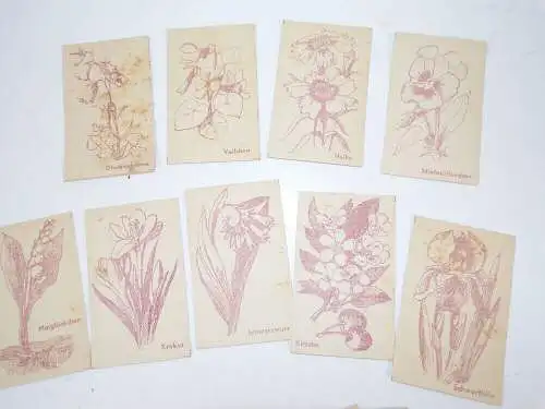 Der kleine Malkünstler 25 Karten zum Ausmalen 1947 Blumen 