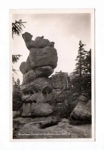 Foto Ak Heuscheuer Kamel mit Großsvaterstuhl Heuscheuer Karlsberg