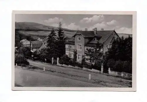 Ak Stecklenberg Harz 1954