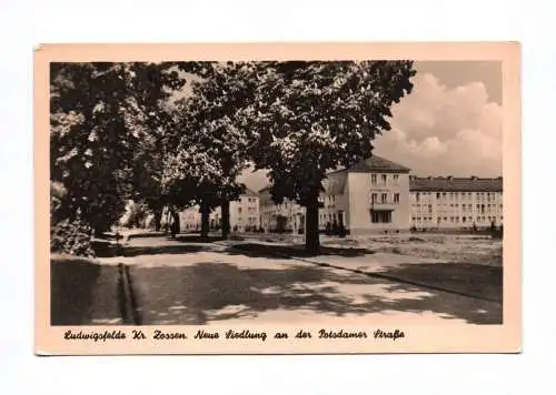 Foto Ak Ludwigsfelde Kreis Zossen Neue Siedlung an der Potsdamer Straße 1957