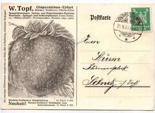 Postkarte Gispersleben Erfurt 1923 Gärtnerei Erdbeere Reklame