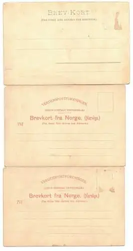 3 x Litho Ak Bergen Norwegen norway um 1910 norge 
