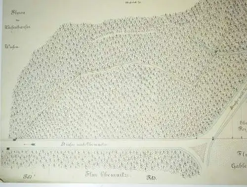 Technische Handzeichnung Zeisigwald bei Chemnitz Flurkarte Zeichnung 1900er Deko