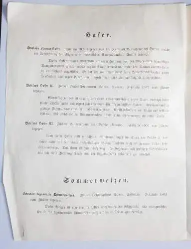 Prospekt 1905 Saatgut Wirtschaft Claassen Dom.Wronowo Kreis Koschmin Posen (D8