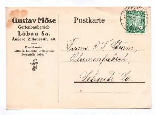 Postkarte Gustav Möse Gartenbaubetrieb Löbau Sachsen 1925