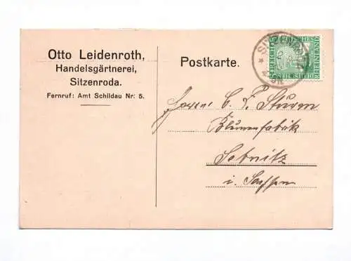 Postkarte Otto Leidenroth Handelsgärtnerei Sitzenroda 1925