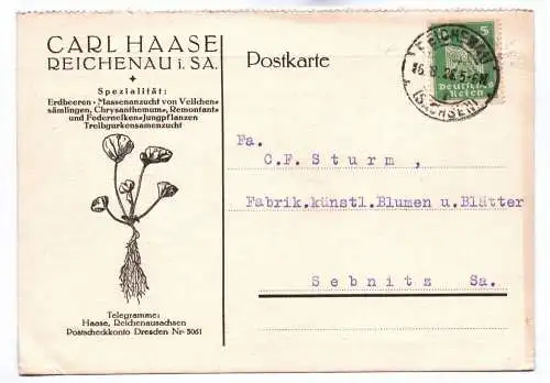 Postkarte Carl Haase Reichenau in Sachsen Spezialgeschäft Erdbeeren 1926