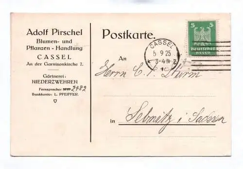 Postkarte Adolf Pirschel Blumen und Pflanzen Handlung Cassel 1925