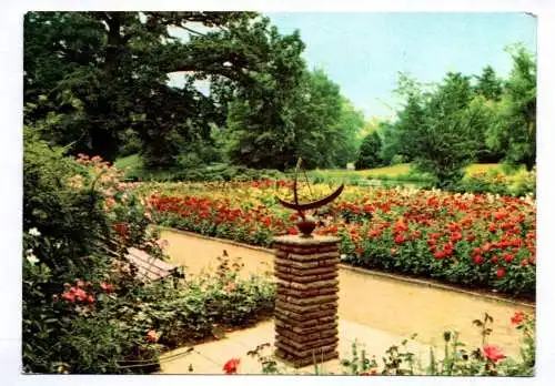 Foto Ak Wörlitzer Landschaftspark Roseninsel mit Sonnenuhr 1971