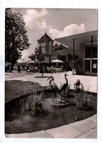 Foto Ak Überlingen Bodensee Kurgarten und Kursaal 1964