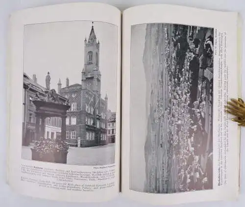 Im Postkraftwagen durch Dresden und das schöne Sachsen 1929 Reise 