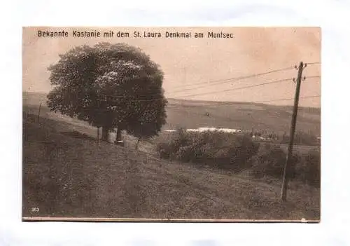 Ak Bekannte Kastanie mit dem St. Laura Denkmal am Monsec