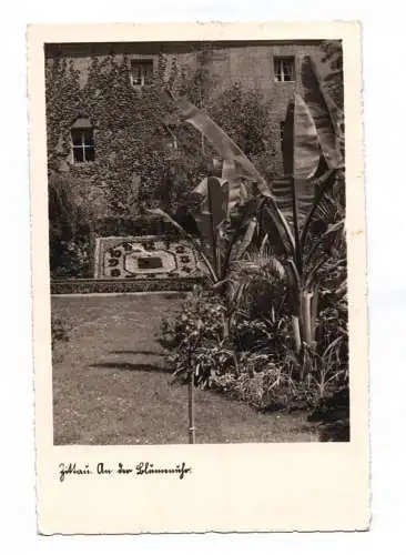 Ak Zittau an der Blumenuhr 1938 DR