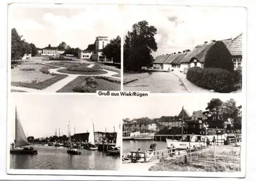 Ak Gruß aus Wiek Rügen