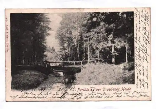 Litho Ak Parthie an der Dresdner Heide 1902