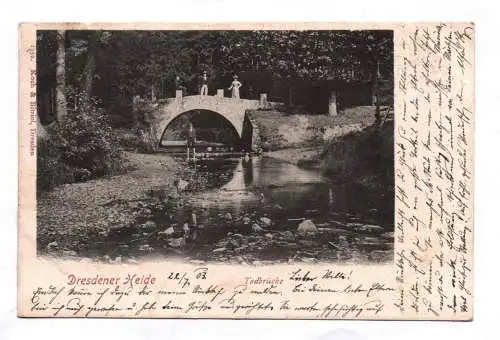 Litho Ak Dresden Heide 1903 Todbrücke