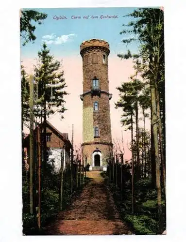 Ak Oybin Turm auf dem Hochwald