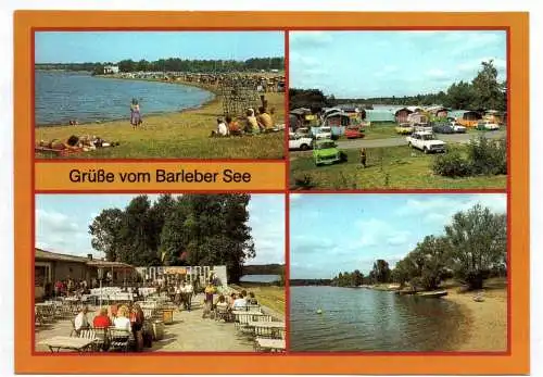 Ak Grüße vom Barleber See Kreis Wolmirstedt DDR in Farbe Postkarte