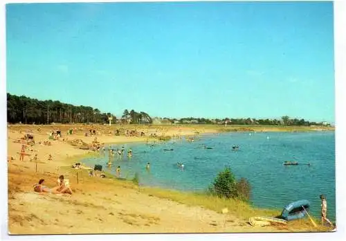 Ak Dübener Heide Bergwitzsee DDR in Farbe