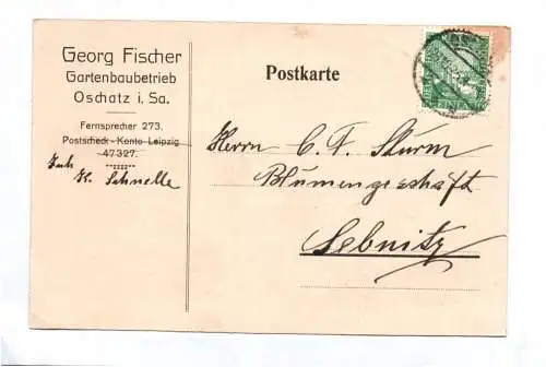 Firmen Postkarte Georg Fischer Gartenbau Betrieb 1925 Oschatz