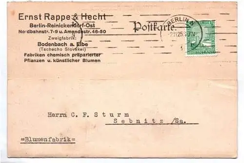 Postkarte Ernst Rappe und Hecht Berlin Reinickendorf Ost 1925 Pflanzen Präparate