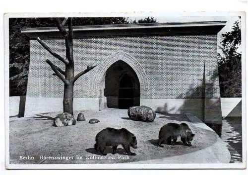 Ak Berlin Bärenzwinger im Köllnischen Park 1942