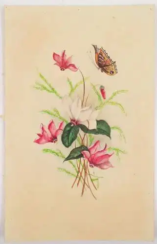 Konvolut Aquarelle Blumen Schmetterling Flora Botanik