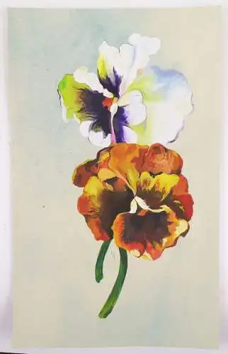 Konvolut Aquarelle Blumen Schmetterling Flora Botanik