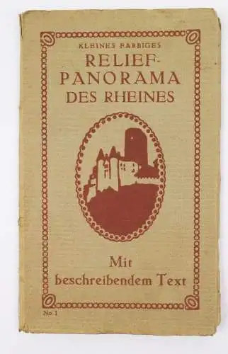 Relief Panorama des Rheines in Farbe Druck Print Rhein