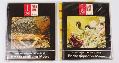 2 x Imago Farbdia Serie Krebse nördlicher Meere 1977 Fische tropischer Meere