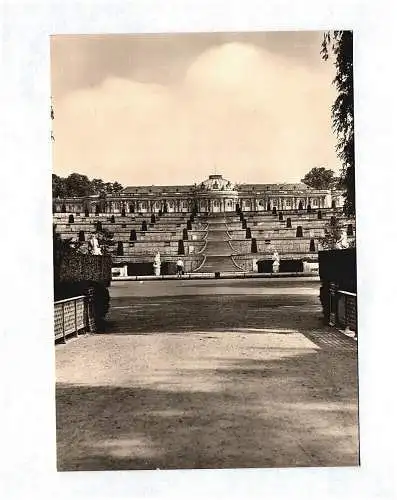 Ak Foto Schloß mit den Terrassen Sanssouci Potsdam