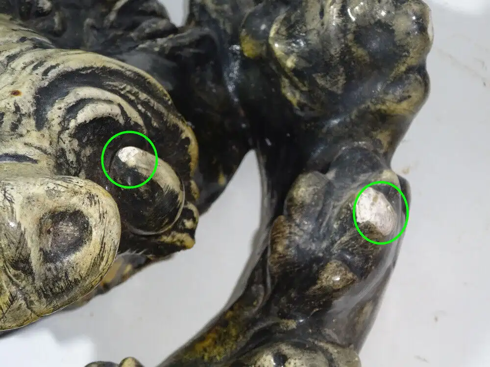 Uralte Jagdtrophäe Eber Wildschwein um 1900 Gips Modelliermasse 2