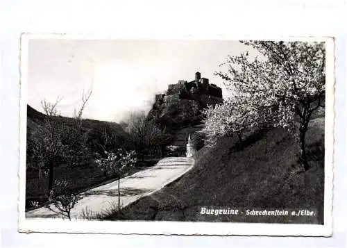 Foto Ak Burgruine Schreckenstein Elbe  Böhmen 1939