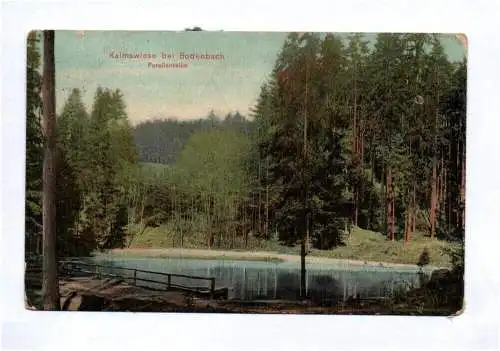 Ak Kalmswiese bei Bodenbach Forellenteich 1914