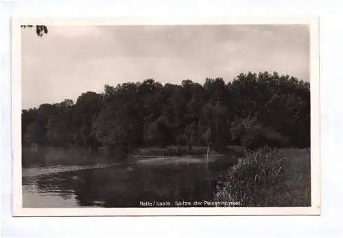 Foto Ak Halle Saale Spitze der Peissnitzinsel 1940