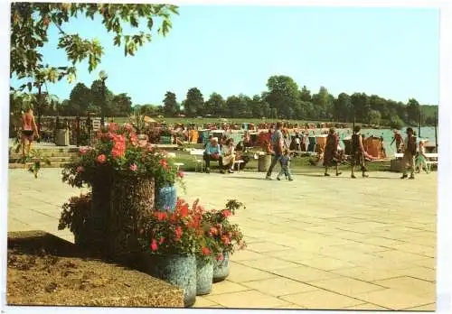 Ansichtskarte Dessau Waldbad Freundschaft 1987 DDR Bunt