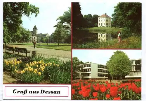 Ak Gruß aus Dessau Stadtpark Schloß Luisium Bauhaus 1987 DDR Postkarte Bunt