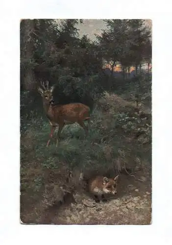 Künstler Ak Rehe und Füchse in der Wildnis Portrait gemalt 4 Stück 1920