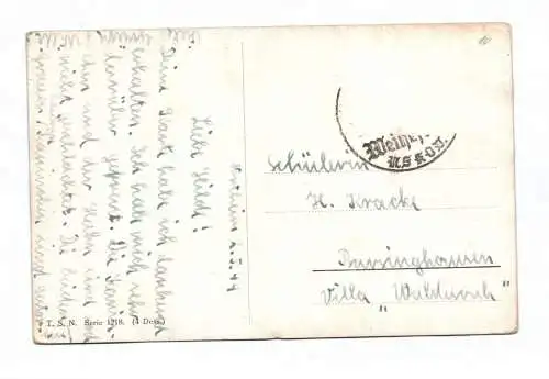 Künstler Ak Rehe und Füchse in der Wildnis Portrait gemalt 4 Stück 1920