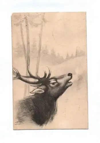 Künstler Ak Rehe und Füchse in der Wildnis Portrait gemalt 4 Stück 1920