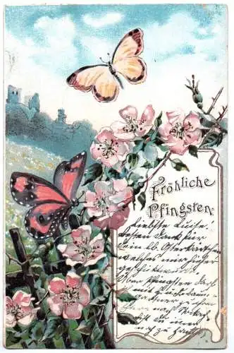 Litho Ak Fröhliche Pfingsten Schmetterlinge Hagebutte 1907