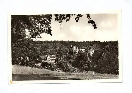 Ak Bad Muskau Blick auf den Schloßpark Echtfoto