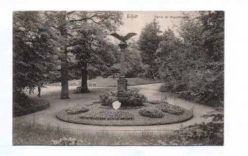 Ak Erfurt Partie im Augustapark 1907