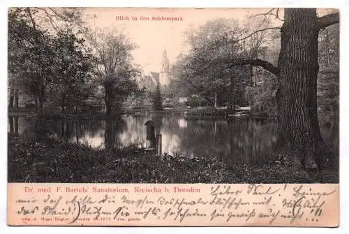 Litho Ak Blick in den Schlosspark 1905 Sanatorium Kreischa bei Dresden