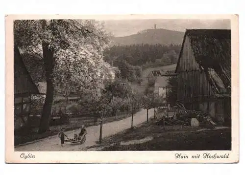 Ak Oybin Hain mit Hochwald Deutsche Heimatbilder