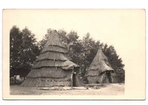 2 x Foto Ak Neu Afrika bei Templin 1956