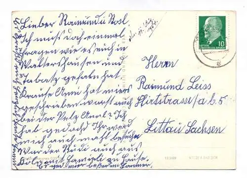 Ak Torgau Schloß Hartenfels Bärenfreigehege Denkmal der Begegnung 1963