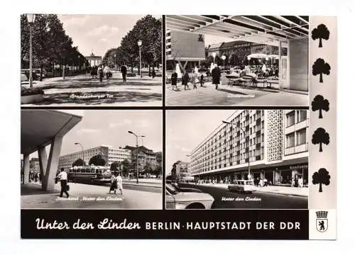 Ak Unter den Linden Berlin Brandenburger Tor DDR 1966