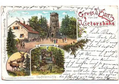 Litho Ak Gruss aus dem Harz von der Victorshöhe Teufelsmühle 1901